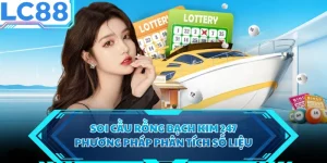 Soi Cầu Rồng Bạch Kim 247 - Phương Pháp Phân Tích Số Liệu